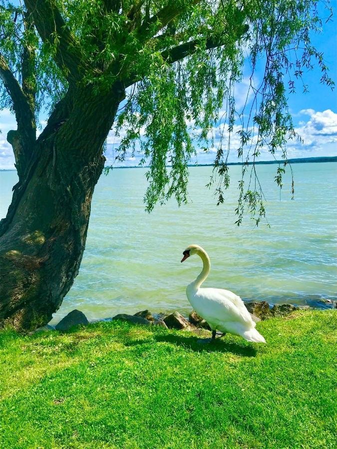 Lavender Cottage Balatongyörök Exteriér fotografie